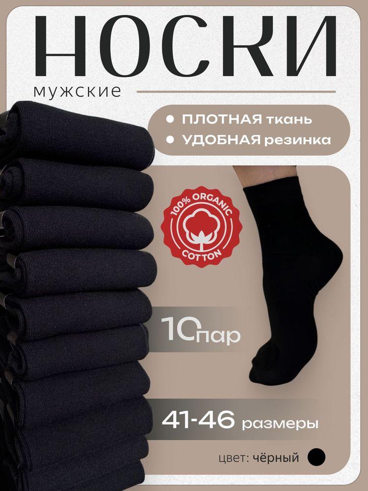 Носки мужские носки, 10 пар
