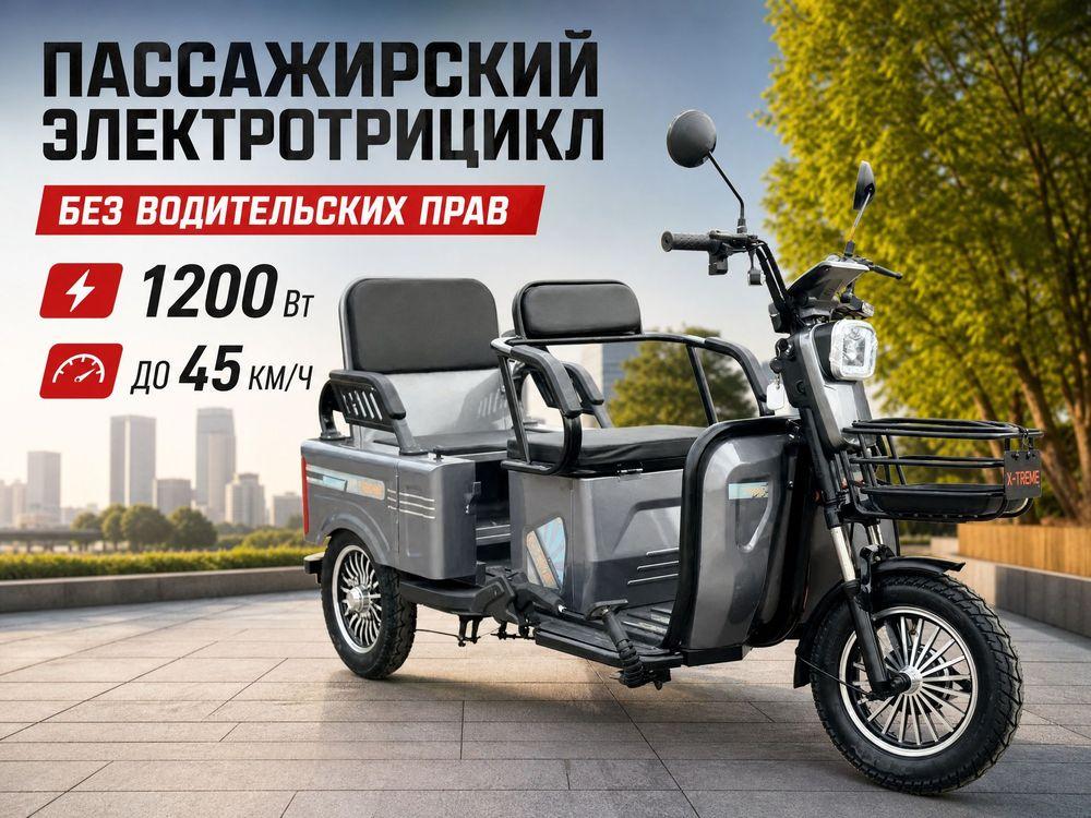 Электрический трицикл Lenak грузопассажирский 1200w Li-ion 48v 25Ah, литий аккумулятор случайный